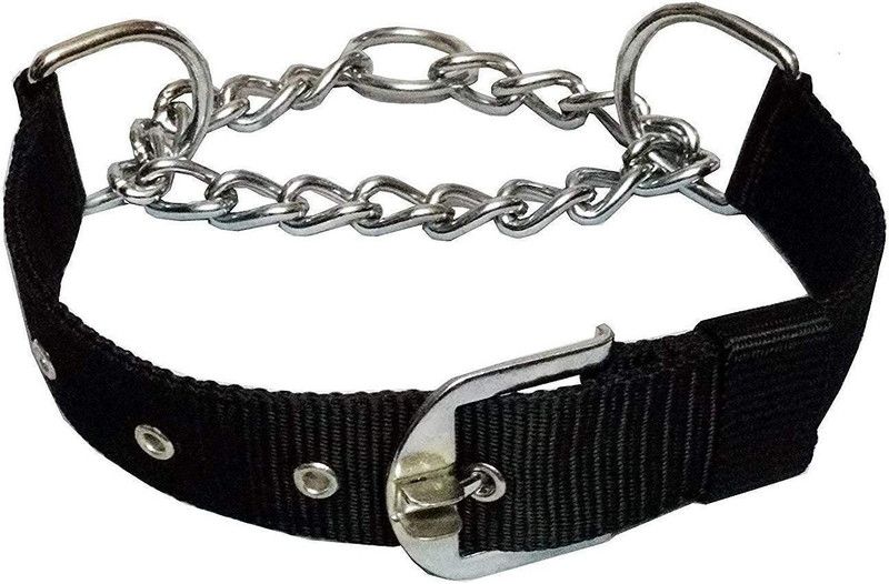 Attila Stylish Nylon Rope Dog Cord Training Leash Dog Show Collar  (Small, Multicolor)