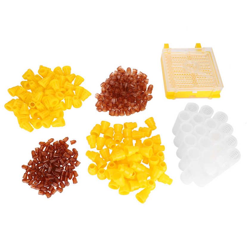 High Quality Durable Bee Rearing Cultivating Box Breeding Set Plastic