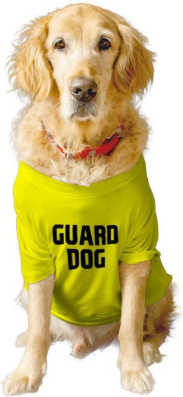 RUSE T-shirt for Dog  (Summer Crew neck"GUARD DOG" Printed Tee Gift for Dogs(Yellow)M)
