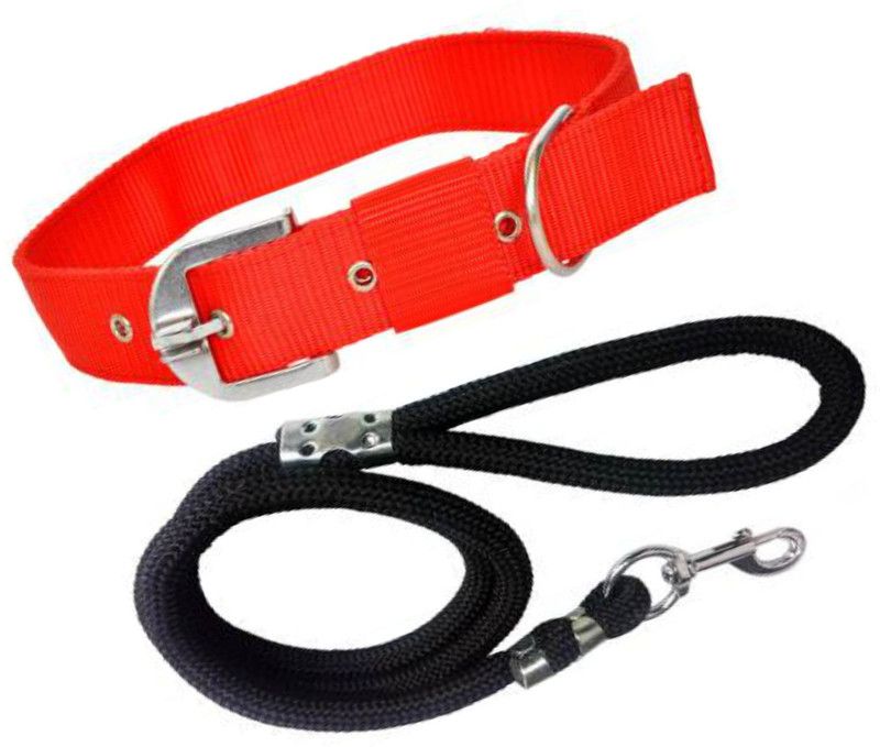BODY BUILDING Dog Belt Combo of Red Dog Collar with Black Lead 1.5m Lengthy Dog Collar & Leash  (Medium, Multicolor)