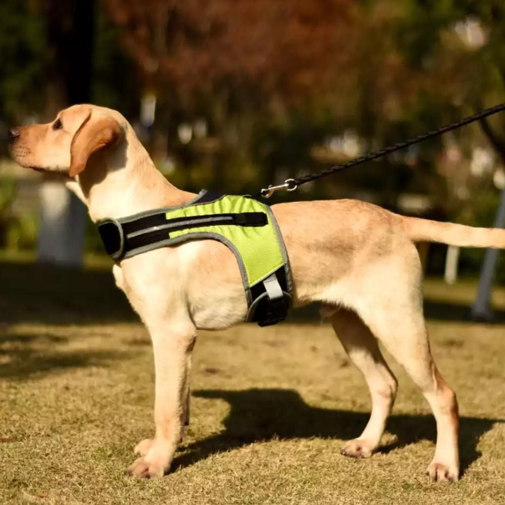 LED Luminous  Harness Light Up  Chest S Vest Pet Safety Reflective Harness Collar Pet Vest For Husky shepherd Labrador
