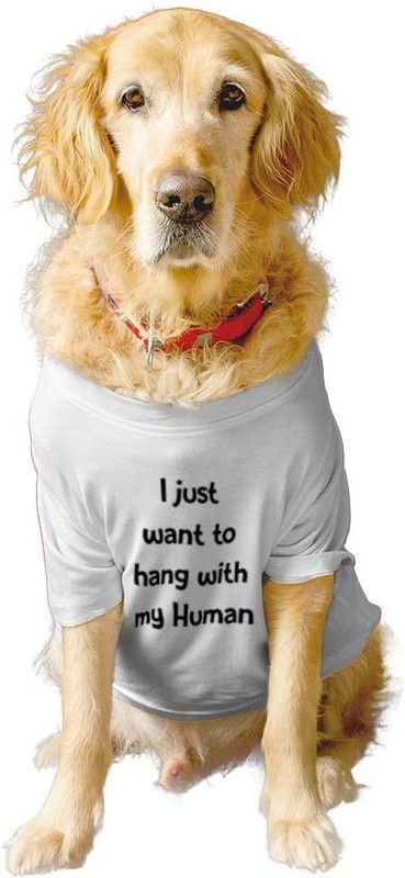 RUSE T-shirt for Dog  ("I JUST WANT TO HANG WITH MY HUMAN" Printed Tee Gift for Dogs(White)XL)
