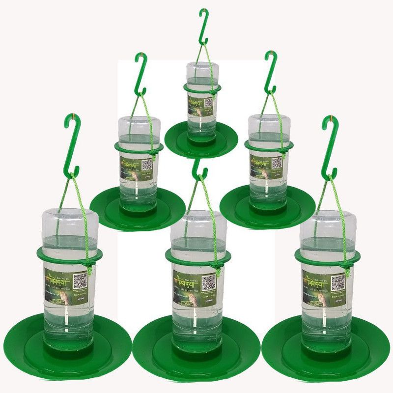 AMIJIVDAYA Medium Water Feeder for Birds Window Bird Feeder Bird Feeder  (Green)