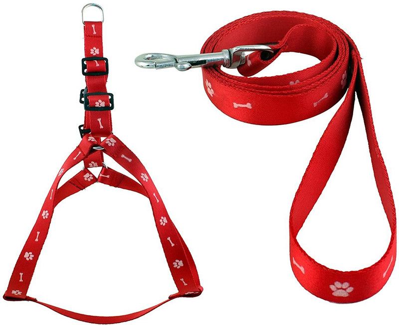 FONDLE Dog Harness & Leash  (Large, Red)