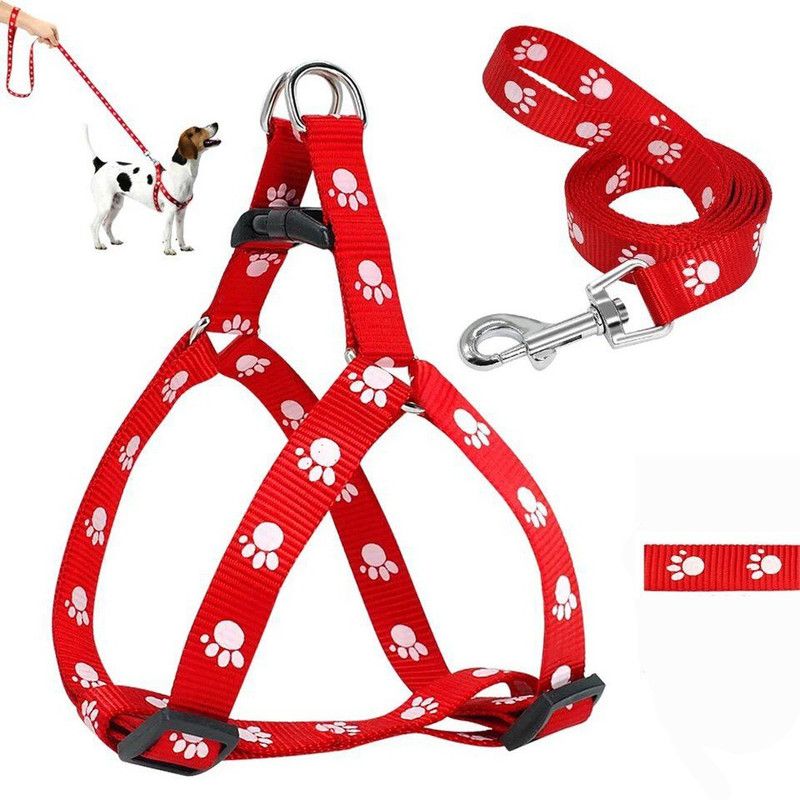 PETANGEL Adjustable&Comfortable Paw Print Heavy Duty No Pull Pet Back Clip Harness &Leash Dog Harness & Leash  (Large, Red)