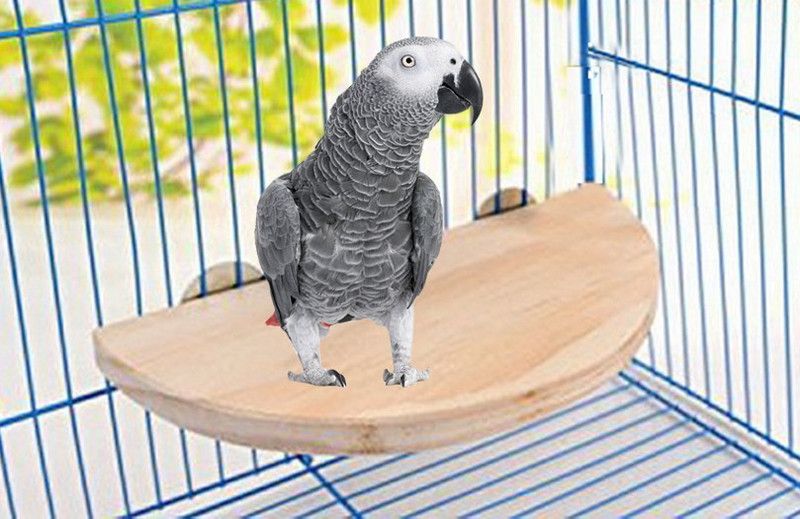 Sage Square 8.5 Inches / 21.5 cm Natural Wood Platform cum Perch cum Stand Bird Toy Ideal for Lovebird, Budgerigar, Sun Conure, Pionus, Quaker Parrot, Cockatiel, Finch, Canary, Budgeri (Light Weight) Wooden Training Aid, Stick For Bird