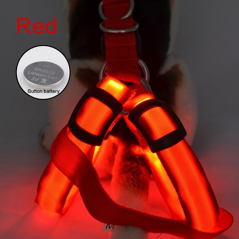 Pet  Harness Luminous Led Usb Rechargeable Lighting Harness For   Pet  Harness Led Rechargeable Glowing Night Safety