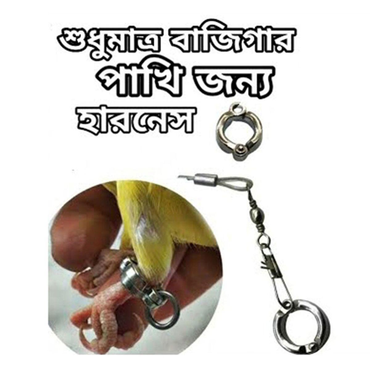 Birds Leg Chain For Budgerigar Birds Flying 