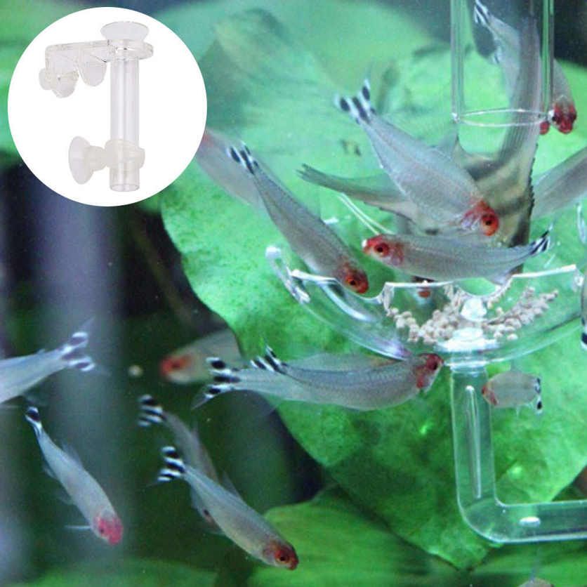 Dish Bowl Feeder Basin Feeding Tube Fits Any Aquarium Aquatic Tank Shrimp Food Tool Transparent Acrylic for Fish Crystal