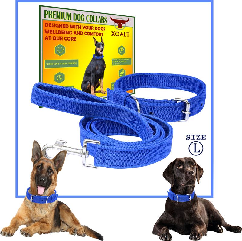 xoalt Dog Collar & Leash  (Large, BLUE)