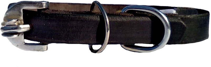Petox Zone Small-4 Dog Bark Contro Collar  (Small, Black)
