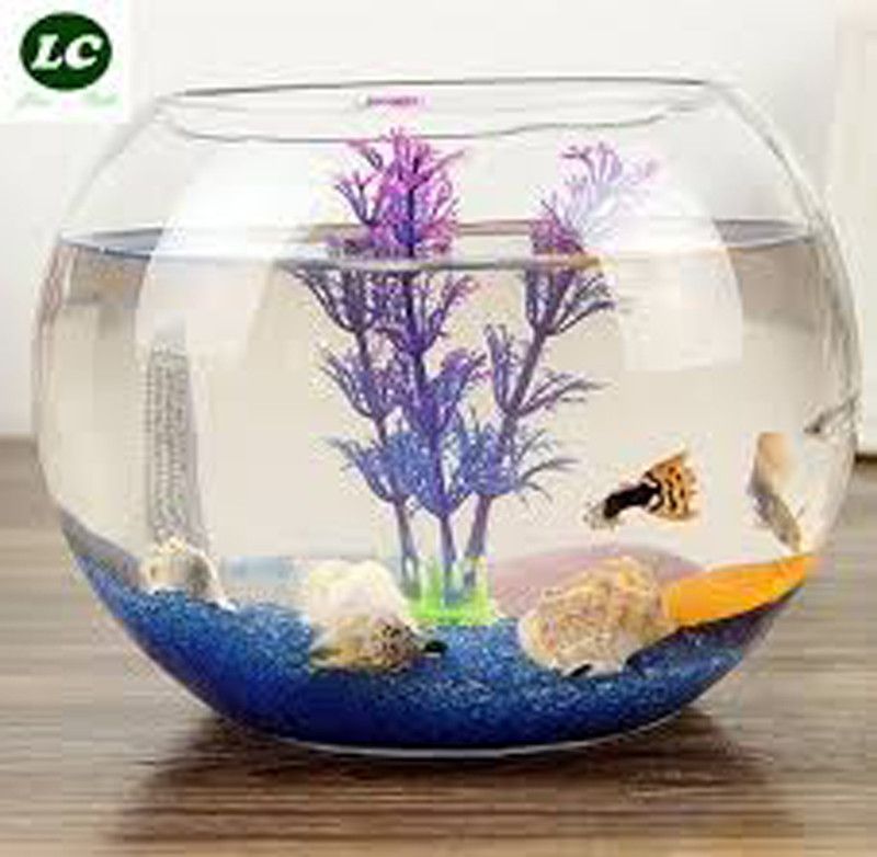 NOGAIYA 1.5 L Fish Bowl