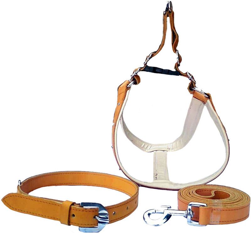 FOREVER99 Dog Harness & Leash  (Medium, Brown)
