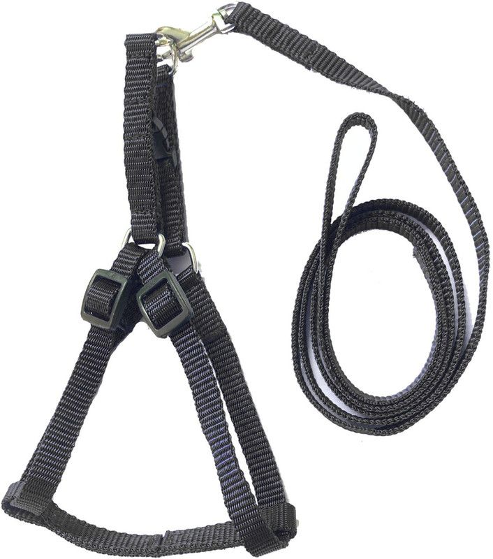 Veditya Dog Harness & Leash  (Extra Small, BLACK)