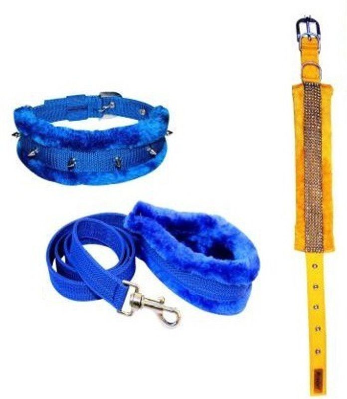 SAWAY Dog Collar & Leash  (Large, BLUE YELLOW)