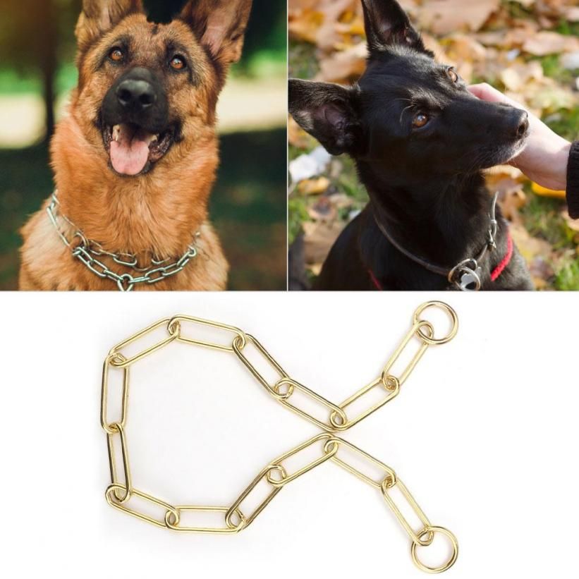 Chain for dogs, Long strangulation chain Dog training collar Dog chain Luxury collar for slip strangles P chain - Animal Iron