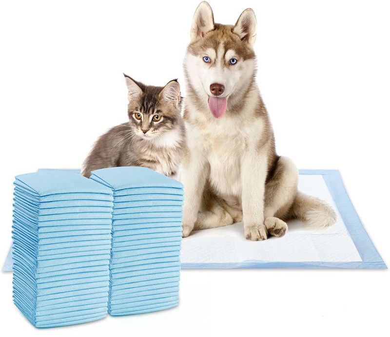 Futurekart Pet Training and Puppy Pads Regular, 60 X 45 cm, Blue - 50 Pieces Disposable Dog Diapers  (Pack of 50 M)