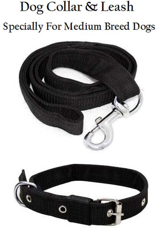 AFLOTO Dog Collar & Leash  (Medium, BLACK)