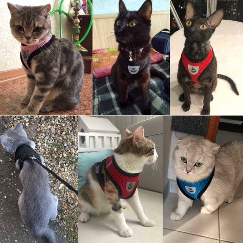 Kitten Cats/Small Dog Puppy Harness & Leash Breathable Reflective