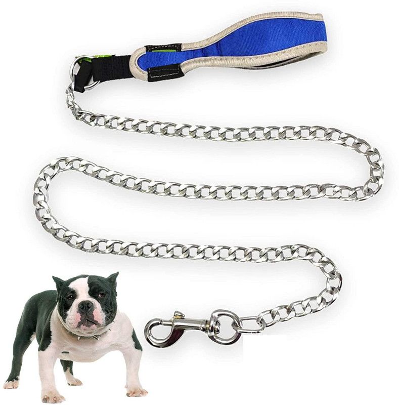 PetMe Dog Leash  (Medium, Blue)