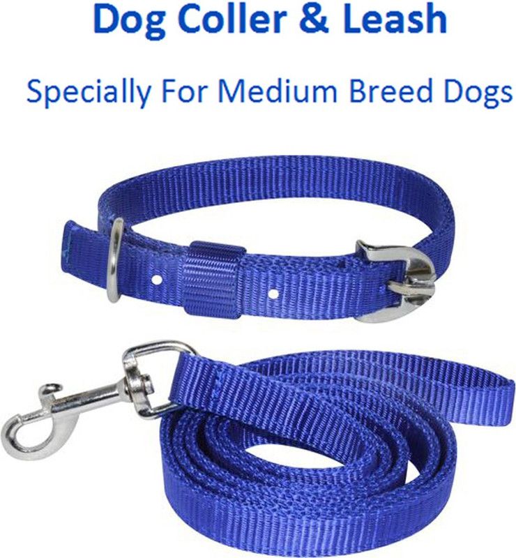 AFLOTO Dog Everyday Collar  (Medium, Blue)
