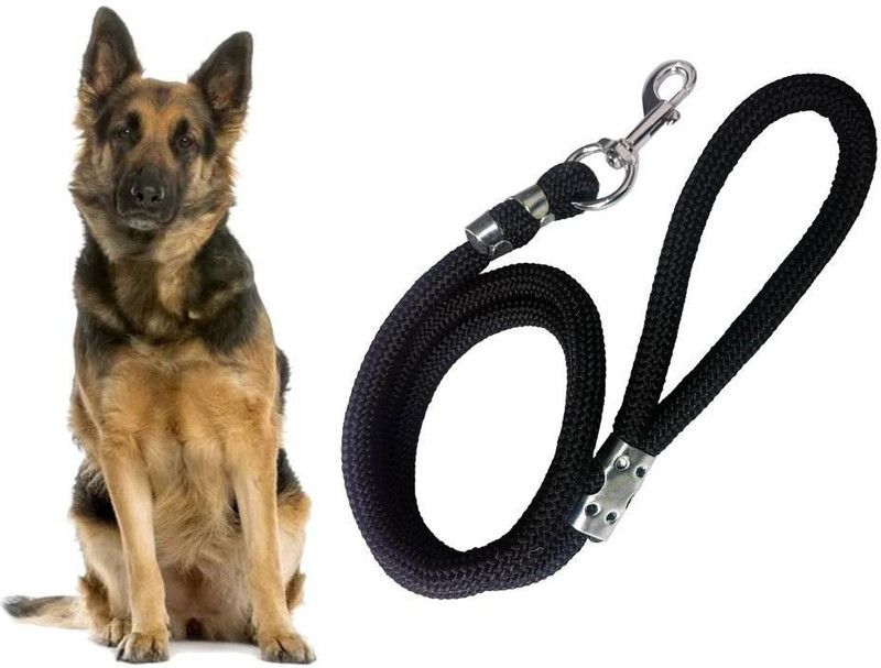 Hundur Store Dog Collar & Leash  (Small, Black)