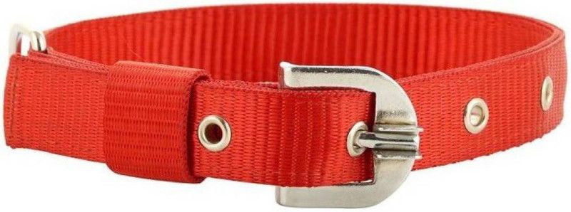 Delicacy Pet Food & Supplies DPF267 Collar color Red-1 inch (Pack of 1) Dog Everyday Collar  (Medium, Red)