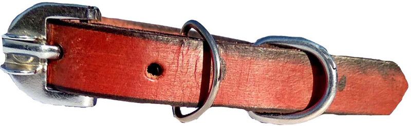Petox Zone Small39 Embellished Dog Collar Charm  (Maroon, Solid)