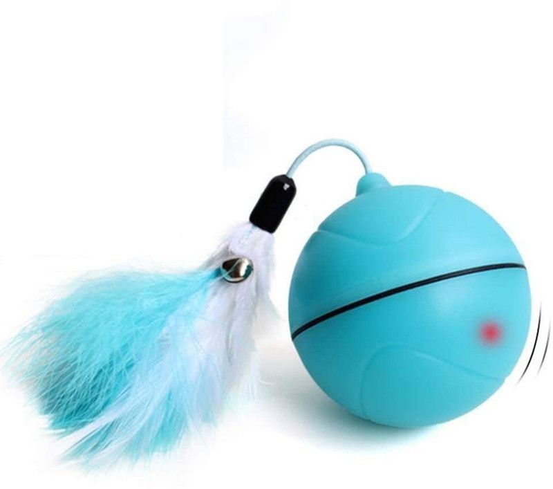 PETS EMPIRE Plastic Training Aid For Cat