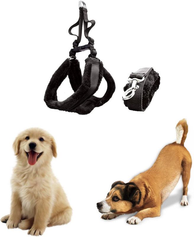 Jainsons Pet Products Soft Padded Adjustable Harness with Leash for Dogs (Harness+Leash 1 INCH, Black) Dog Harness & Leash  (Medium, Black)
