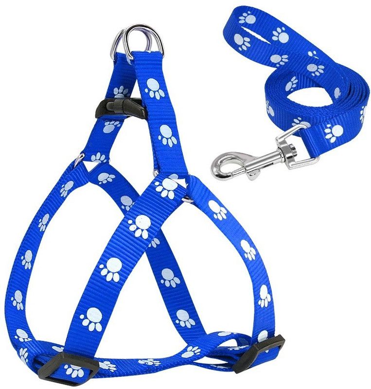 KUTKUT Dog & Cat Harness & Leash  (Large, Blue)