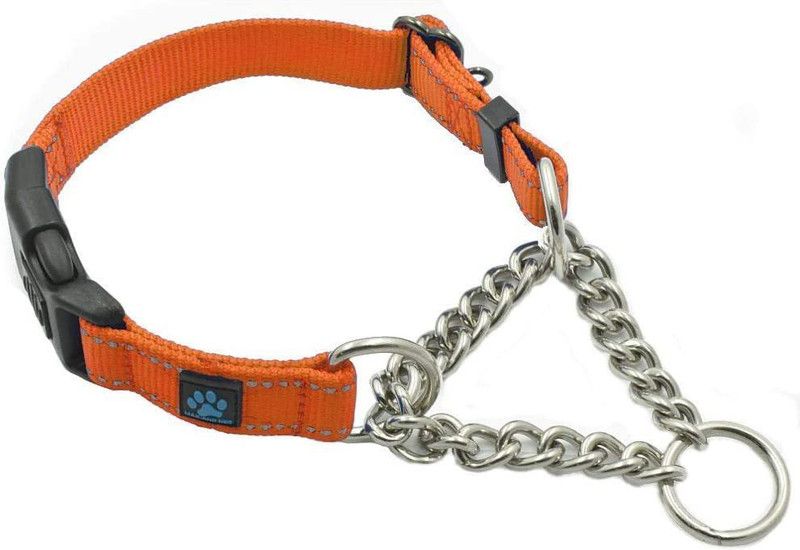 PetMe Dog Everyday Collar  (Medium, Orange)