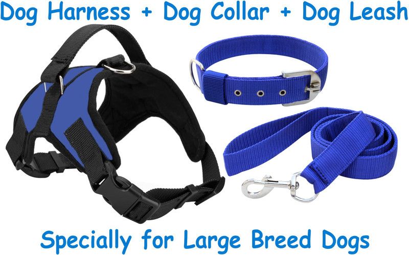 BODY BUILDING Dog Belt Combo of Blue Dog Harness with Blue Dog Collar & Leash Specially for Large Breeds Dog Harness & Leash  (Large, Blue 3)