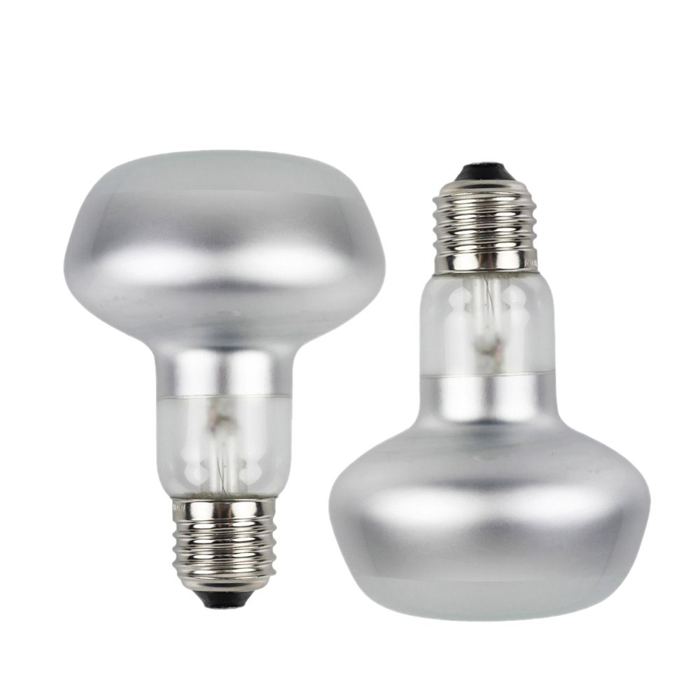2 Pack 75W UVB Reptile Light UVA UVB Heat Lamp Bulb Bearded Dragon Accessories for Reptiles 220V