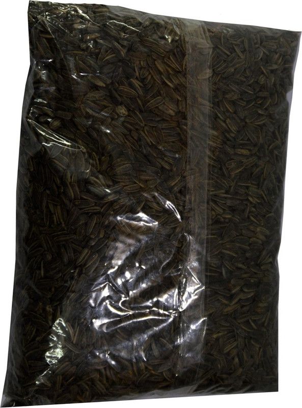 Foodies Puppies Sunflower Seed Nuts 1 kg Dry New Born, Young, Adult Bird Food