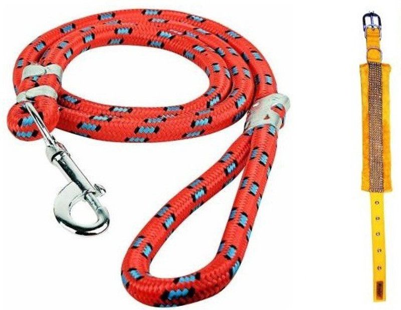 Pet N Perry Dog Collar & Leash  (Large, YELLOW, MULTICOLOUR)