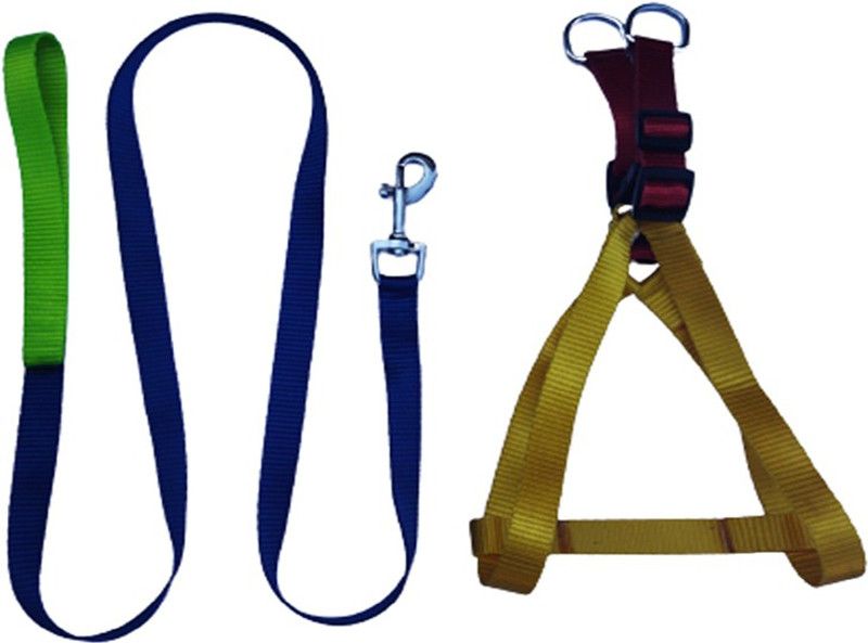 The Unique Dog & Cat Harness & Leash  (Small, Multicolor)