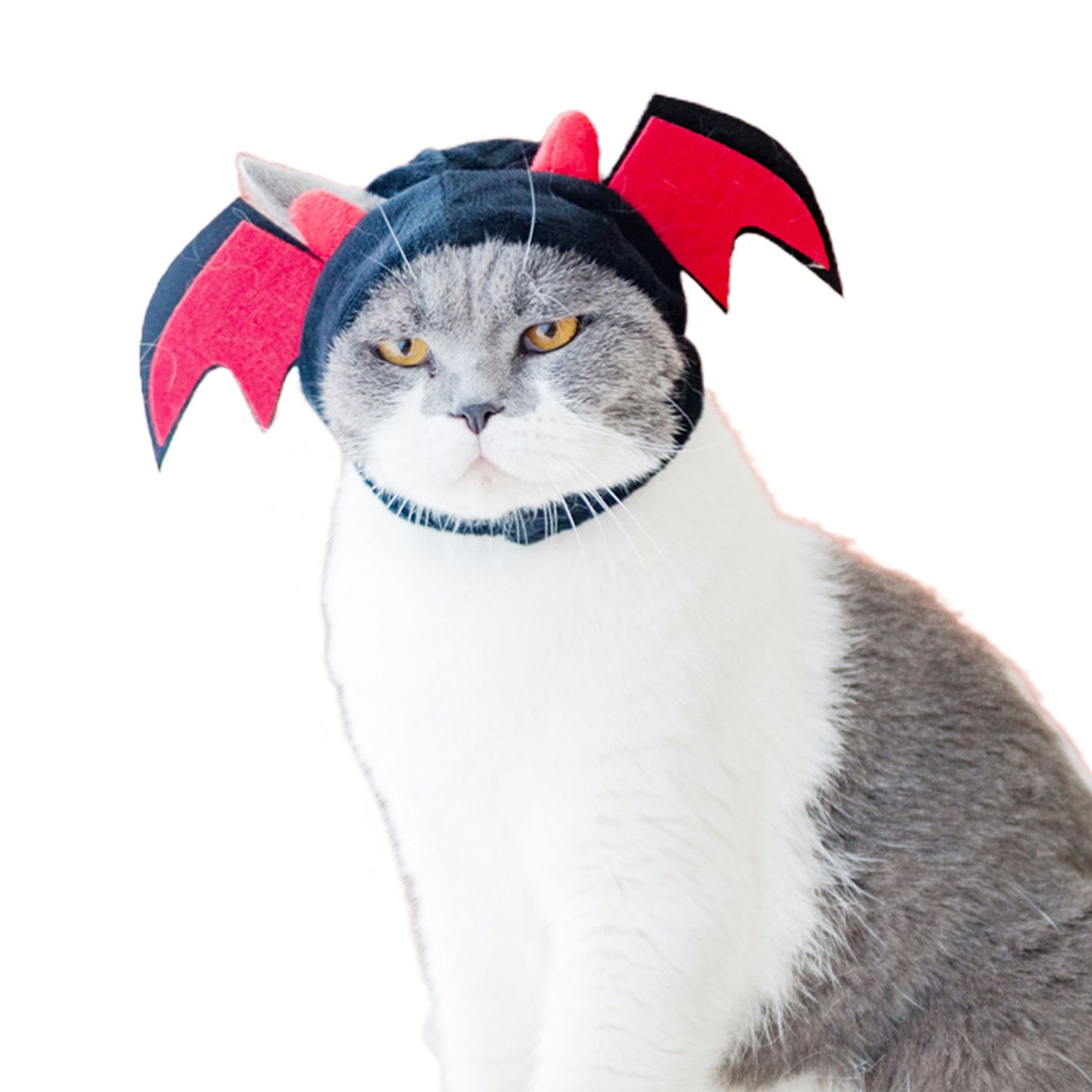 Pet Hat Cute Design Kitten Soft Winter Hat