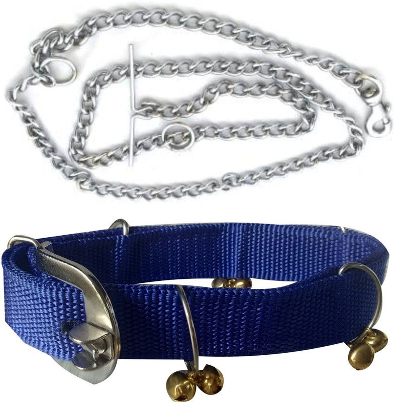 PEDIGONE Good Quality Dog Belt Combo of Blue Ghungroo Collar with Dog Chain 1.5m Lengthy Dog Collar & Chain  (Medium, Multi-Color)