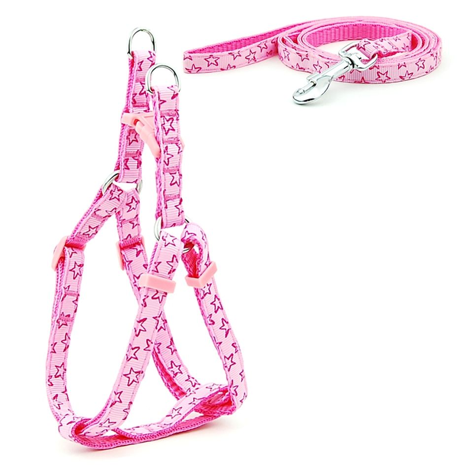 Pet  Spring Cute Printing Leash Fashion for Puppy Chihuahua Bull Harness Small s ng Design Harness And Leash Set