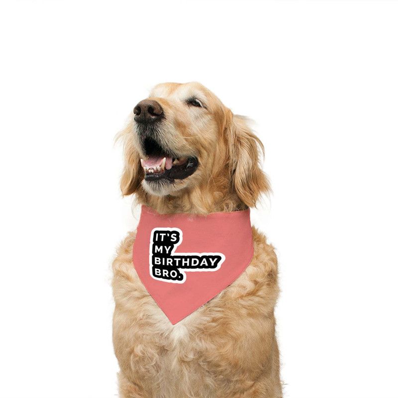 RUSE Bandana for Dog, Cat  (Reversible IT'S My Birthday Bro Printed Dog Bandana Chocolate Waffle Check)