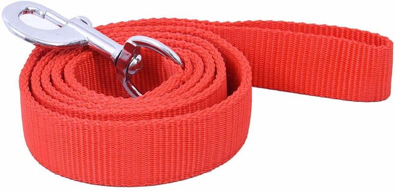 GnJ Dog Leash  (Medium, Rad)