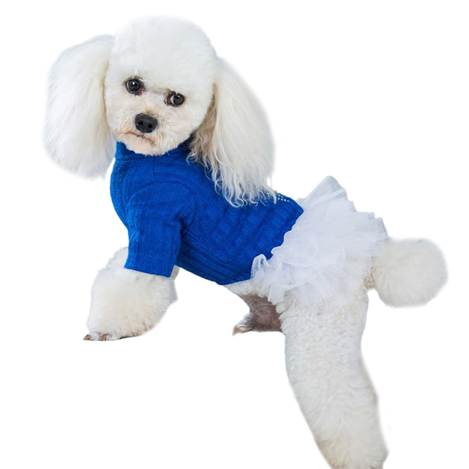 Pet Apparel Eye-catching Puppy All-Match Princess Dress Pet Supplies