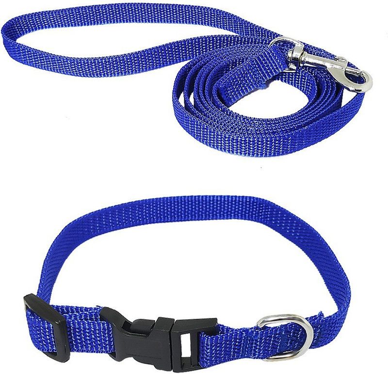 Modern Pets House 1/2 Inch Buckle Collar Leash with Anti-Slip Handle (Small, Blue) Dog Collar & Leash  (Small, Blue)