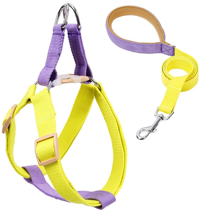 Harness And Leash No Pull Nylon Pet Leashes For Small s French Bull Chihuahua Lead Leash And Collar Set For Yorkies