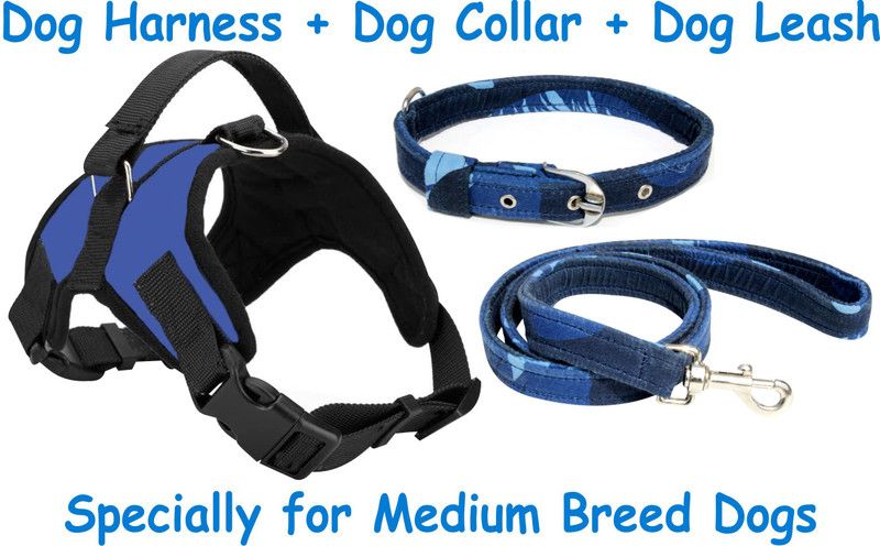 BODY BUILDING Dog Belt Combo of Blue Dog Harness with Blue Printed Dog Collar & Leash Specially for Medium Breeds Dog Harness & Leash  (Medium, Blue 2)