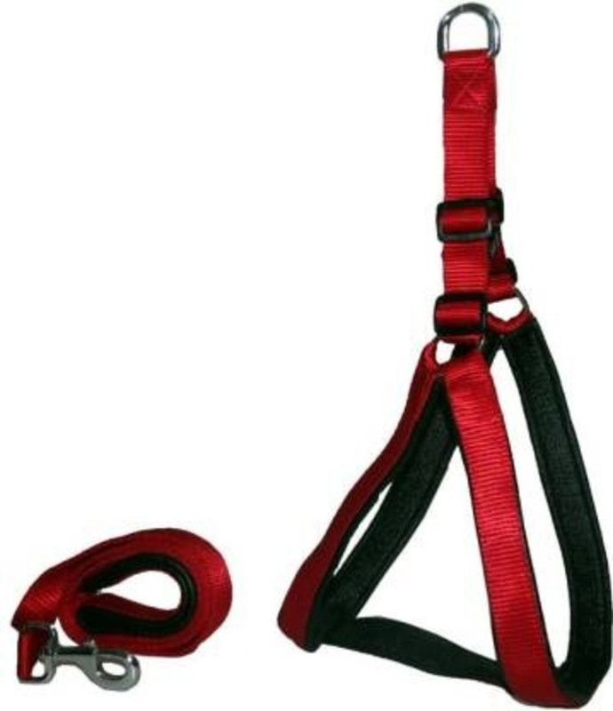 A2ind Dog Harness & Leash  (Small, Red)