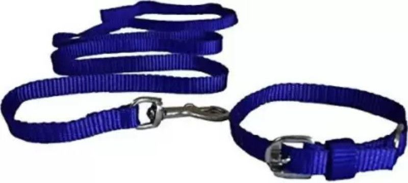 DCM PET MART Dog Collar & Leash  (Medium, blue)