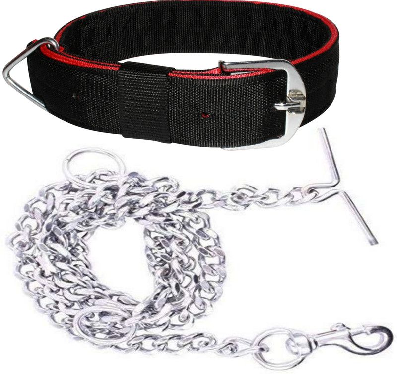 PEDIGONE Dog Collar & Chain  (Extra Large, 2 inch Black Dog Collar & Chain)