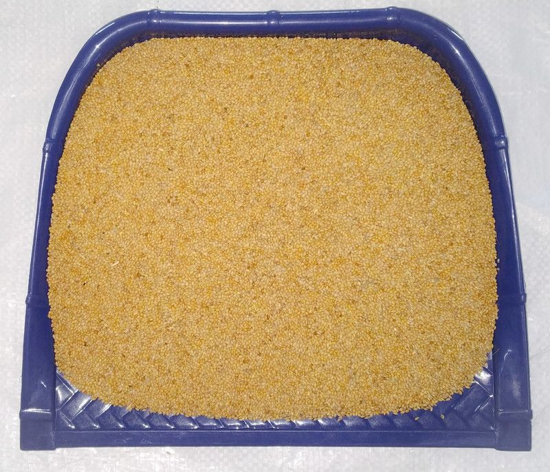 Pets Wizard Kangni Seeds , Bird Food for All types of Birds Nuts 0.9 kg Dry New Born, Adult, Young, Senior Bird Food